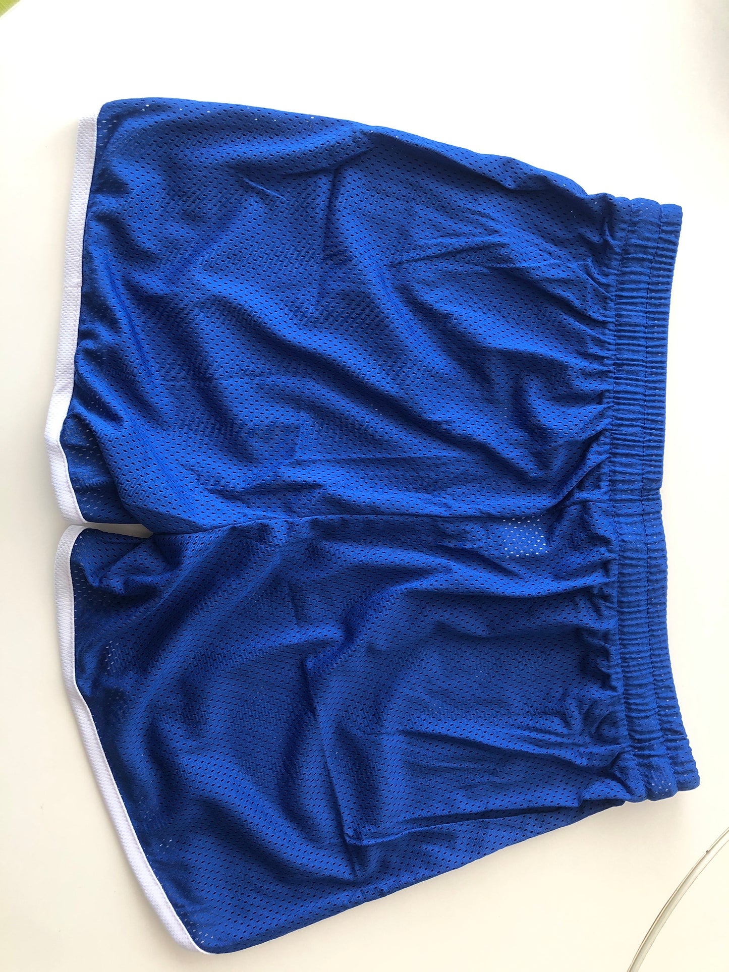 Mesh Training Men's Shorts - Royal Blue
